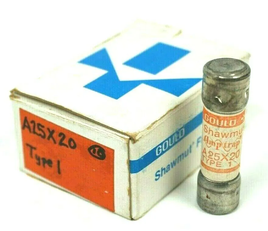 NEW LOT OF 10 GOULD A25X20 TYPE 1 FUSES