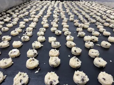 Laser Oven