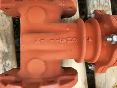 4" Gate Valve R2365, 250 PSI