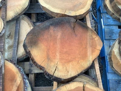 Used _UNKNOWN_ _UNKNOWN_ Miscellaneous Woodworking Equipment Michigan US | Miedema Asset Management Group #1414870