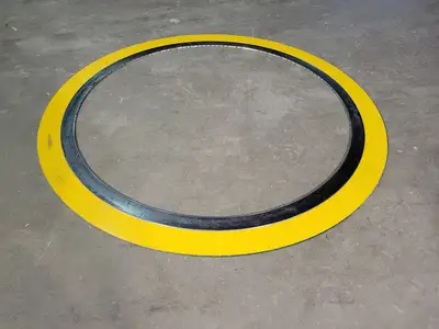 NEW FLEXITALLIC STYLE CG