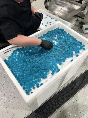 Food Grade Gummy Racks for Drying - HDPE
