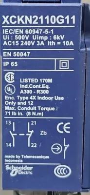 Schneider-Square D XCKN2110G11 Plunger Switch loc4B9