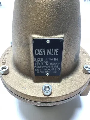 Cash Valve DX B62 Angle Back Pressure Valve 1-1/4″ Type K5 100 PSIG