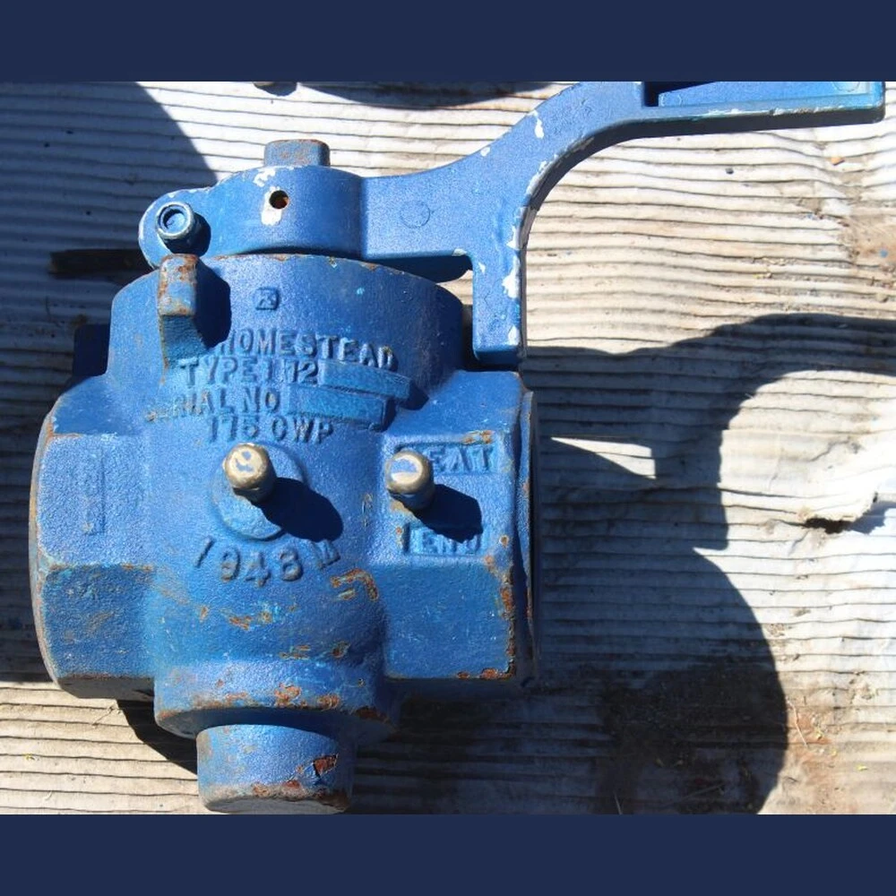 Homestead 2.5 in. Plug Valve