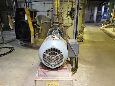 USED GOULDS 3175