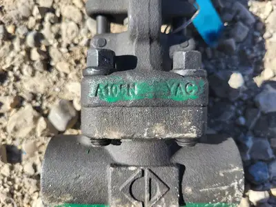1" Class 800 Gate Valve API 602