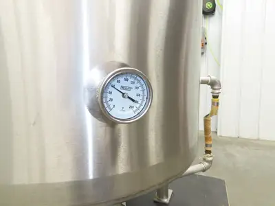 Avins Direct Steam 100 Gallon Mixing Tank 1/3Hp Lightnin Mixer Food Grade SS