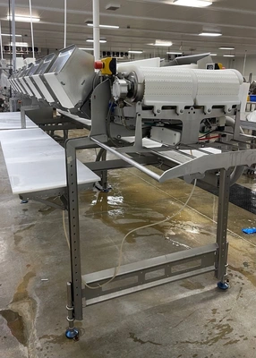 Marel Used Dual Lane Smart-Line Grader with 8 Gates Per Lane/ Custom Built Infeed