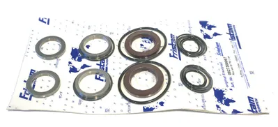 NEW FRISTAM 0827300067 PUMP SEAL KIT