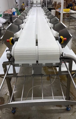 Marel Used Dual Lane Smart-Line Grader with 8 Gates Per Lane/ Custom Built Infeed