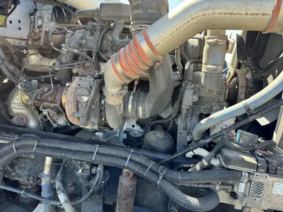 Used 2019 KENWORTH W900 Conventional trucks Ontario CA | Driven Equipment Solutions #1423112