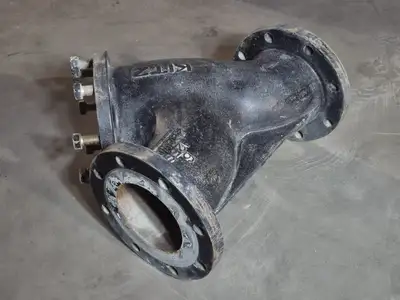 6" 125S 200 WOG Wye Strainer