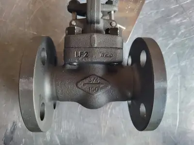 3/4" Class 150 Gate Valve B16.34