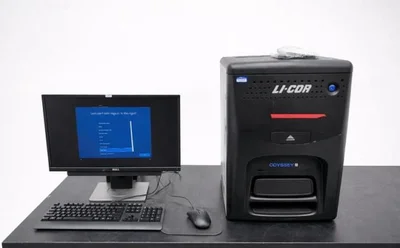 Used LI-COR ODYSSEY FC Imaging Systems / Molecular Imagers New Jersey US | Bionex Scientific LLC #800678