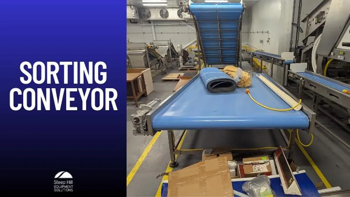 64''W Sorting Conveyor
