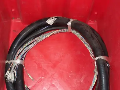 Cable Assembly - 145563-2*