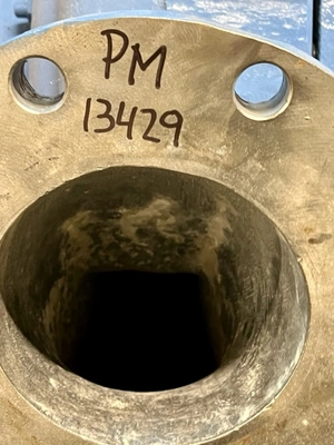 USED Goulds 3175