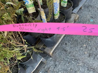 Used _UNKNOWN_ _UNKNOWN_ Farm Supplies Michigan US | Miedema Asset Management Group #1476018