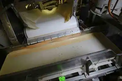 25 " wide ss conveyor
