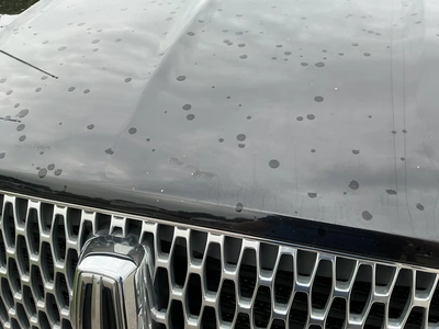 Used 2019 LINCOLN NAVIGATOR L SUVs Michigan US | Miedema Asset Management Group #1337339