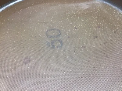 W.S Tyler Standard Screen Scale Testing Sieve 48 Mesh Series 50 .0116 Opening Inches