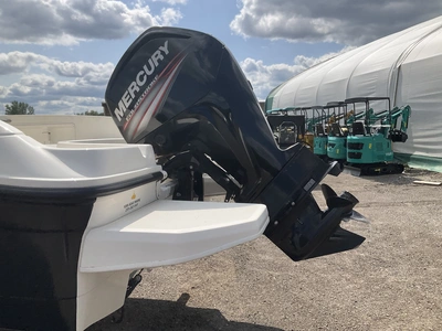 Used 2017 BAYLINER ELEMENT Boats (Misc) Michigan US | Miedema Asset Management Group #1322404