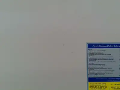 Baker 6ft SG604 A2 Biosafety/ Biological Safety Cabinet w/Stand NO UV +Warranty
