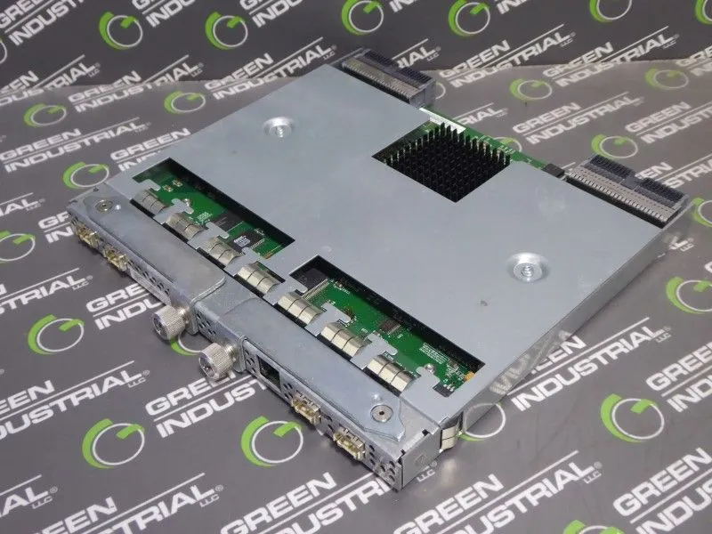 IBM F95P1960 810 Server Fibre Chanel Interface Module Used