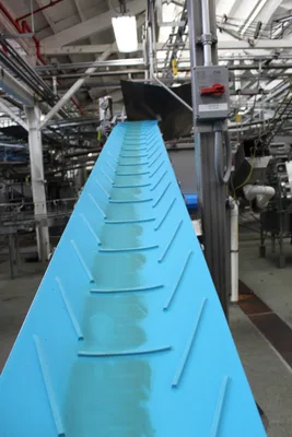 Inclined Hopper Infeed Belt Conveyor