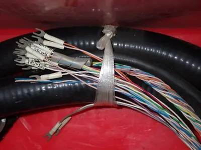 Cable Assembly - 145563-2*