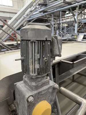 Belt Sorting Conveyor 2