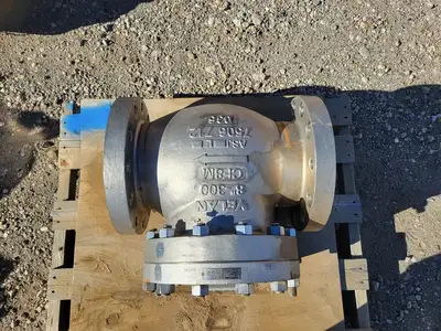 8" Class 300 Check Valve B16.34