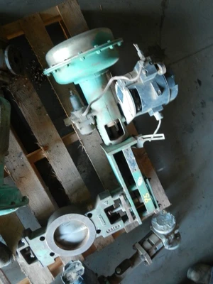 Fisher 6" 150 Class, CI Butterfly Valve
