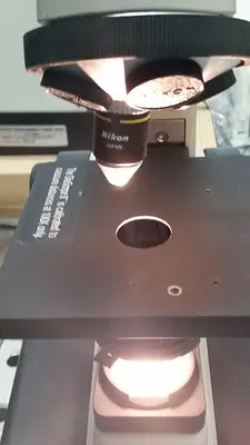 Nikon Storz Diascope II