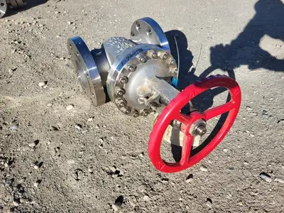 4" Class 300 Gate Valve B16.34