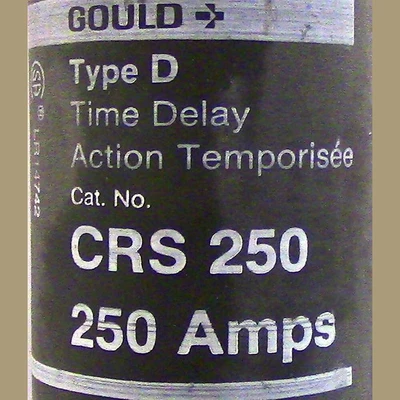 Gould 250 Amp Type D Fuse