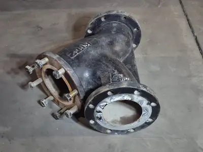 6" 125S 200 WOG Wye Strainer
