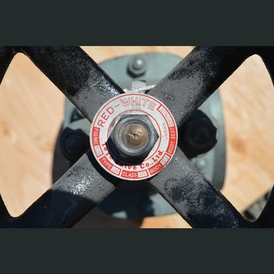 Red White 2.5 in. Gate Valves