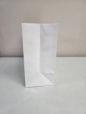 White Gloss 16" x 6" x 12" Gift Bags