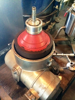 Westfalia MTA 50-01-024 warm milk separator, SS.