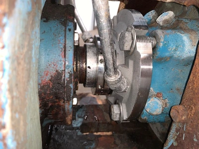 USED Goulds 3175