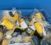 Used HUBBELL HBL27W82 Electrical Fittings Ohio US | HGR 24 #1301728