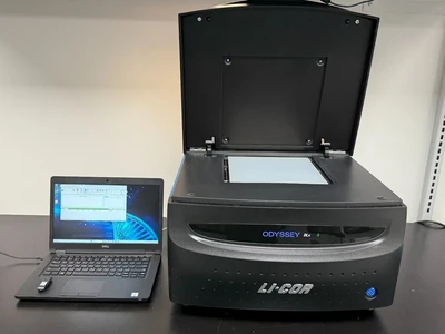 Used LI-COR 9142 Imaging Systems / Molecular Imagers Missouri US | BioLabTek #1464007