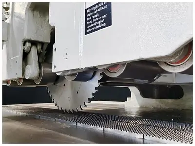Cantek 12'' Glue Line Rip Saw C12RSH