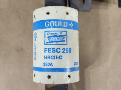 USED GOULD FESC250