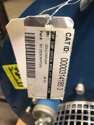USED Goulds 3171