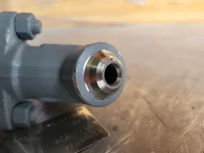 1/2" Class 900 Y-Pattern Check Valve B16.34