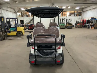 Used 2026 SDLANCH HQ100 Golf Carts Michigan US | Miedema Asset Management Group #1483909