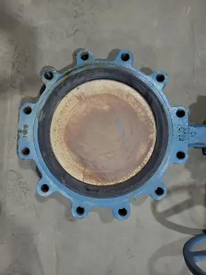 14" Class 150 Butterfly Valve